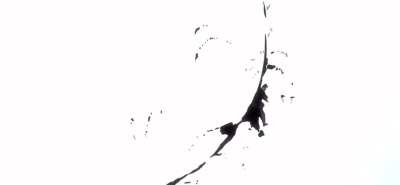 Who can survive this