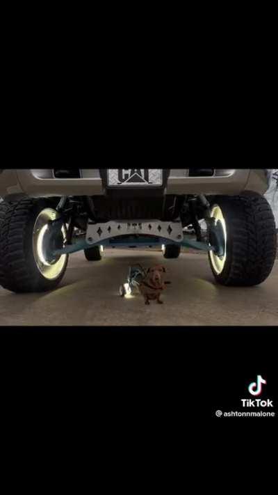 Hardest Wiener on TikTok