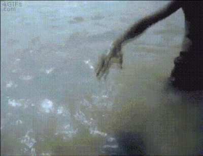 I seriously don't know where to post it?