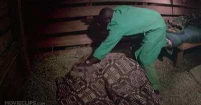 In the wild, baby elephants are never left alone. At the David Sheldrick Wildlife Trust, keepers stay with the babies at night to make up for this.