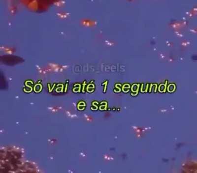 Como faz para desbugar isso 😡😠(desafio lançado o elpichula 😎👌)