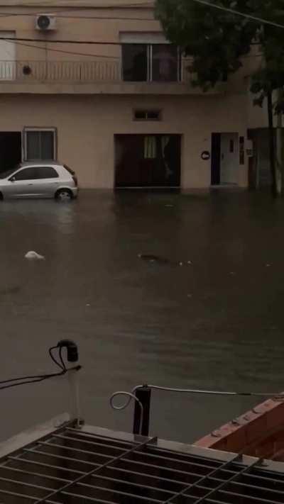Apareció cuerpo flotando en Lanús