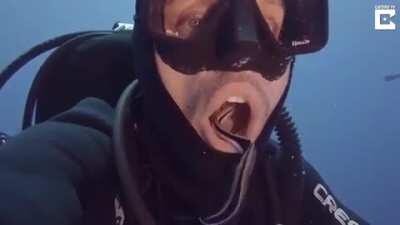 Not the cleaning I’d want.