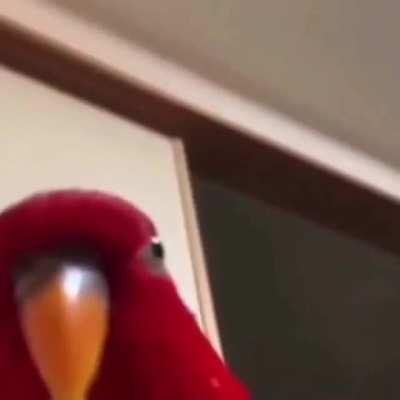 RapFars - Video #7510