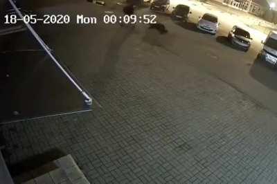 В Ярославле на мужчину напал медведь.