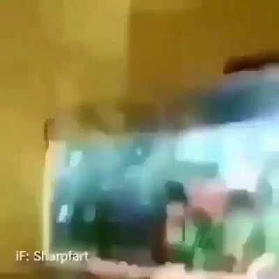 Teoría de Darwin be like: