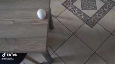 Egg Fall Like Waffle