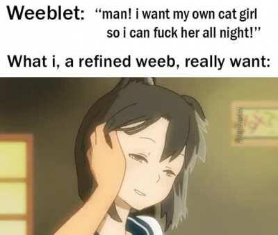 I wish cat girls were real!