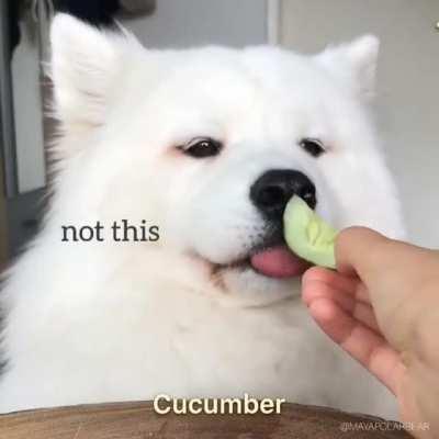 Good cloud eats some tasty food