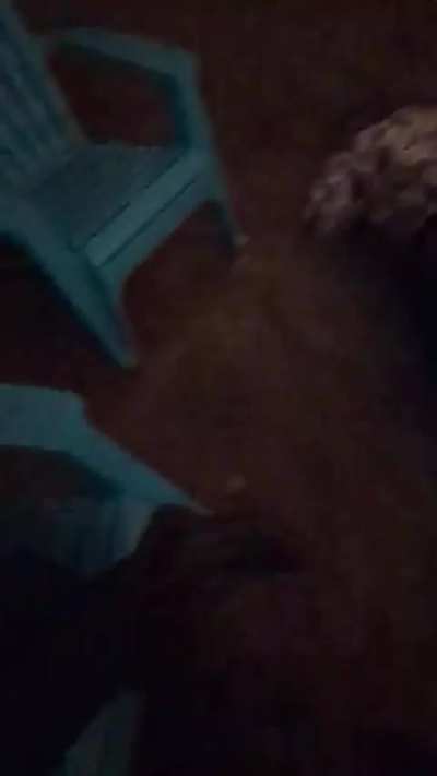 Shrooms at a festival