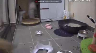 Кто это сделал?