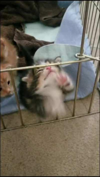 Henry telling Jeannie it's time to record.. Jeannie: