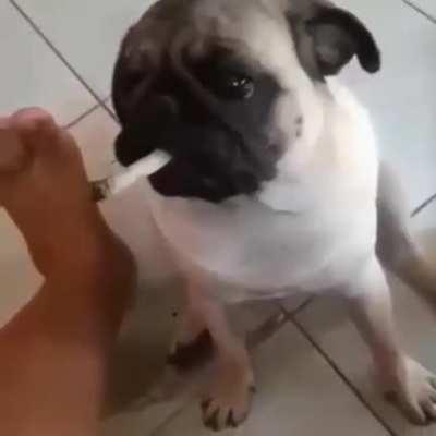 PASSA O BECK MUQUINHA😡