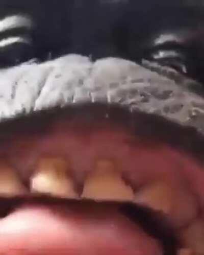 i fucking hate my teacher she took my fucking paper airplane bro i'm so mad dude fuck ms. Lauri