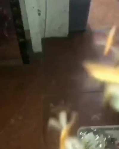 Como supiste que soy de azua