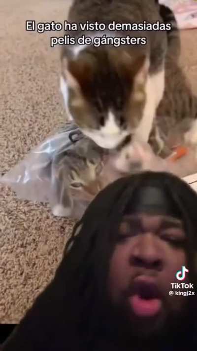 How Luna and uno be acting when simba ain’t home