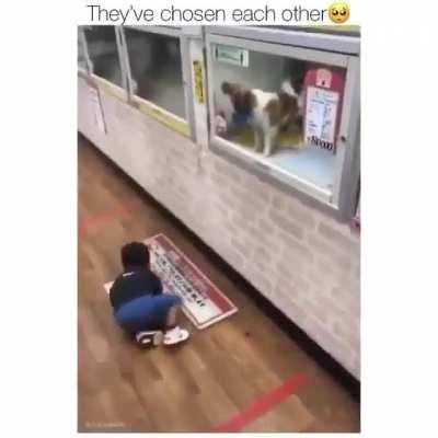 They've chosen each other 😍