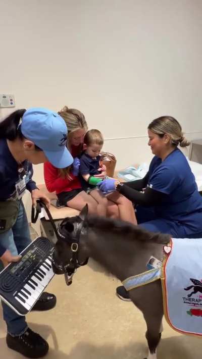 I can't be the only one that finds this rather disturbing - Therapy horse 