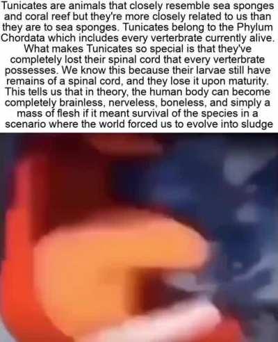 Posting the first title of this meme: The Krabs Catastrophe