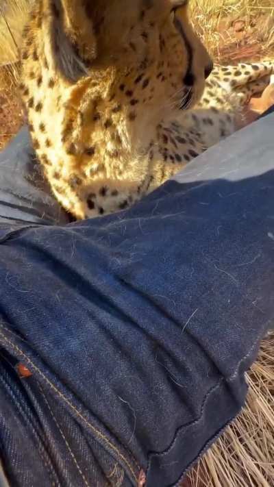 The engine is running