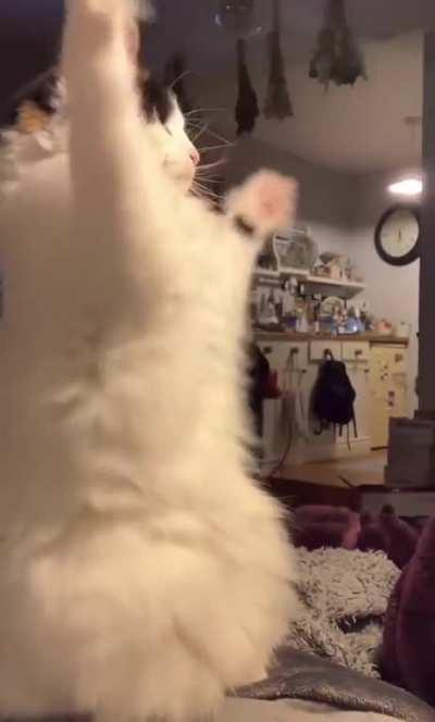 I put a spell on you