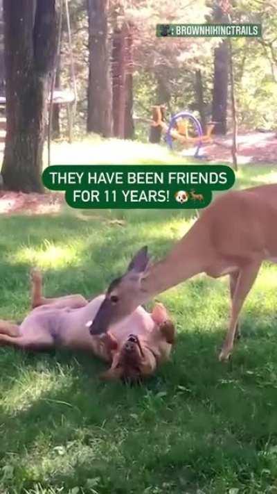 Best friends forever