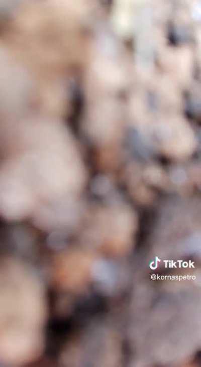 The moment of arrival at the positions of the Ukrainian military was caught on video. As the author of the video writes on his TikTok page, everyone survived.