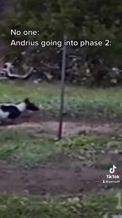 Andrius for Olympic 2021