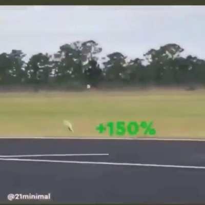 Shitcoin price action be like;