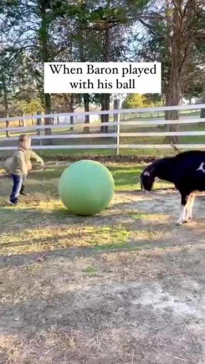 Some favorite heartwarming moments from the past year at The Gentle Barn