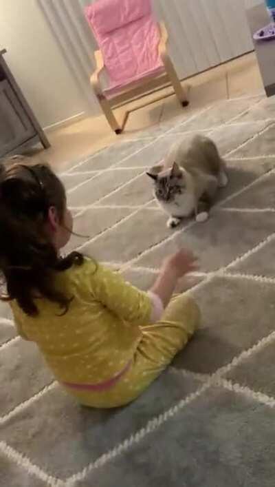 A successful attack results in an unexpected reaction.