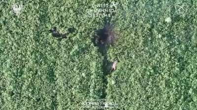 Multiple Russian soldiers crawling through a field are eliminated by drone-dropped grenades and FPV drones of Ukraine's 225th Assault Regiment near Kindrativka in Sumy region, late July 2025