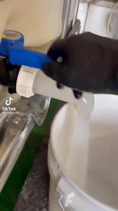 Pov entraste al cuarto de Perico