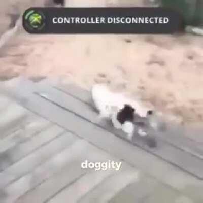 jijijiji se bugueo la cabra