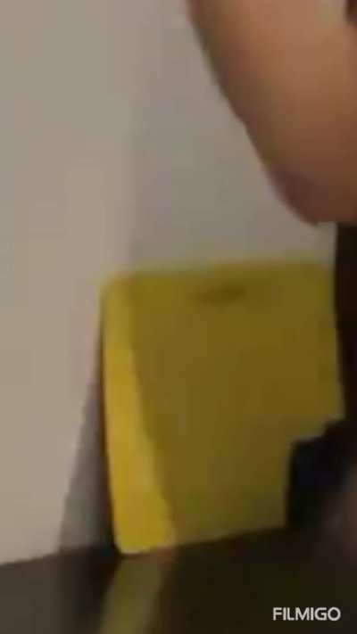 Got another belly zoom in for y’all