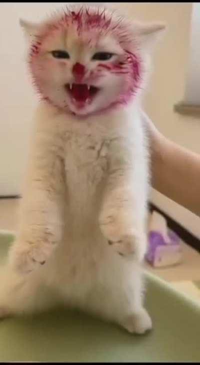 vIcIoUs mOnStEr cAuGhT dEvOuRiNg bLoOdY eNtRaiLs oF vIcTiM