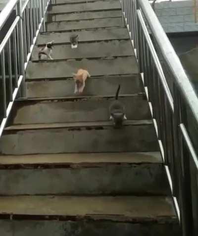 One step at a time bros