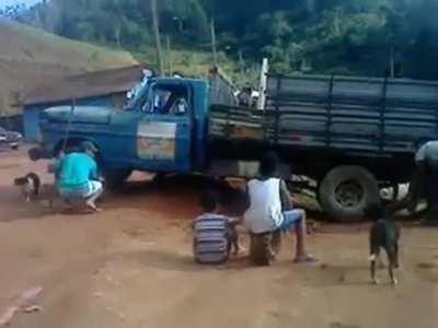 Idiots discover power of gravity