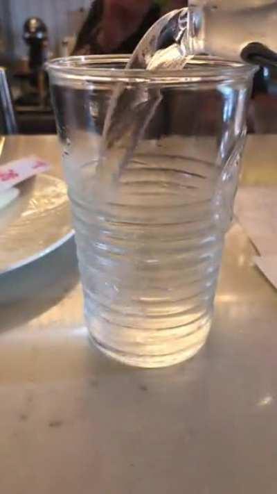 Ordered a water at the bar and they gave me a glass jug and a cup!