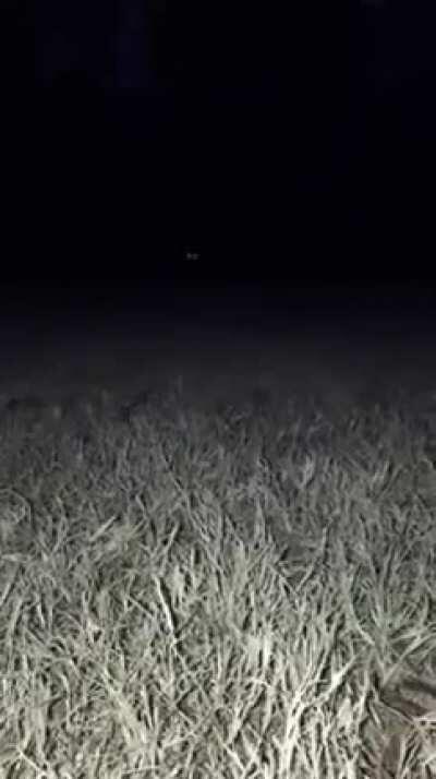 hELLhoUnD mAuLs gHoStHuntEr