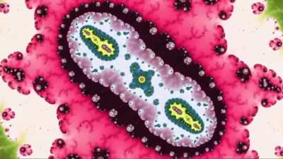 Mandelbrot Fractal Zoom, 