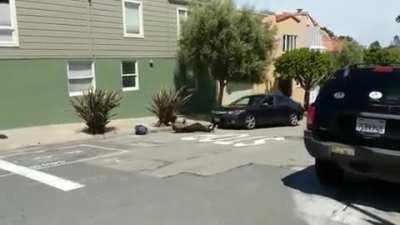 How could he get up, damn