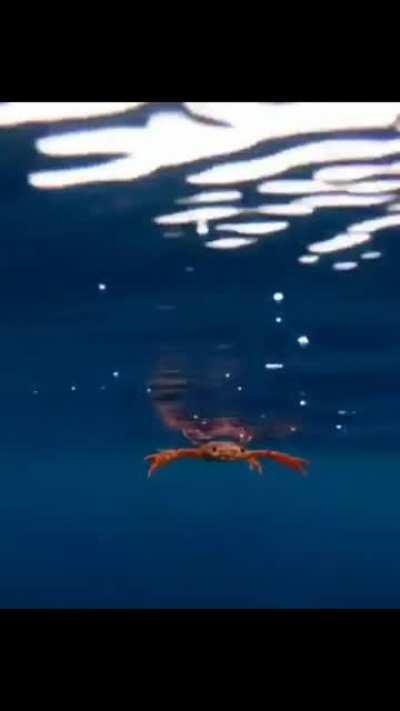 blursed fortunate son