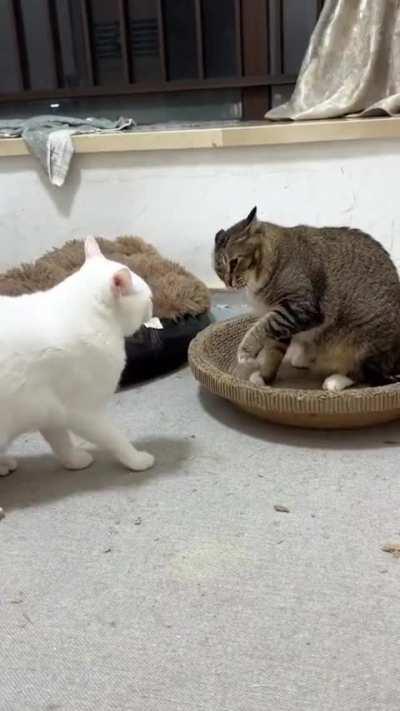 'Bite my ass' was not meant literally