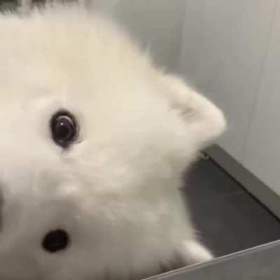 Alone time doesn't mean the same thing to everyone...