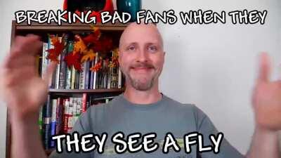 Omg it's like the episodee fly from breakingb badd wow brrvo