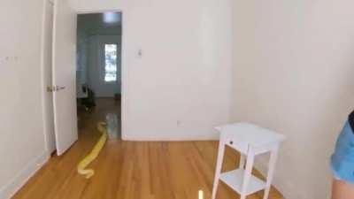 May I crash your tik tok?