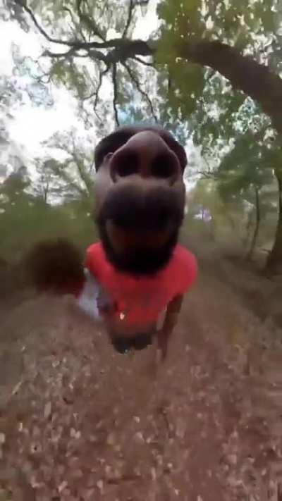 Stay Off The Trail In The Woods Kids