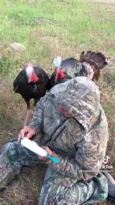 Turkey season is open