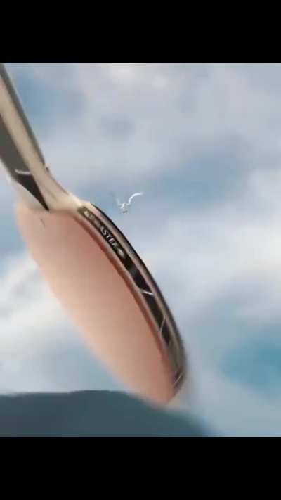 Losercity 🏓 Ping-Pong 🏓